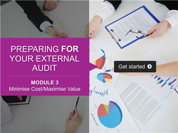 Minimising audit costs and maximising value for your business